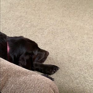 Meet your Posher, Maureen